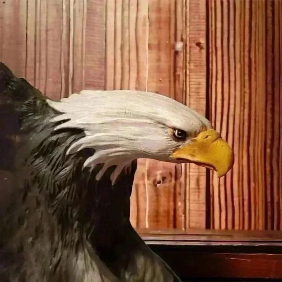 1st Issue Sacred Spirits Limited Edition Collection Eagle Home Decor#A0759 - Picture 9 of 16